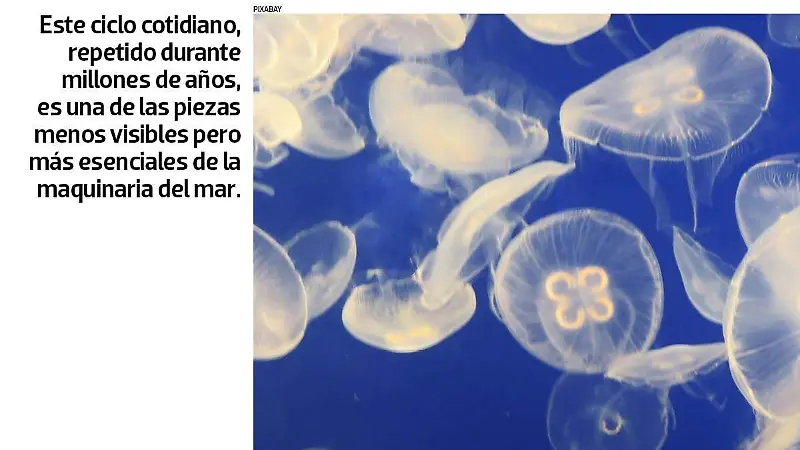 Migración oculta SITIO4